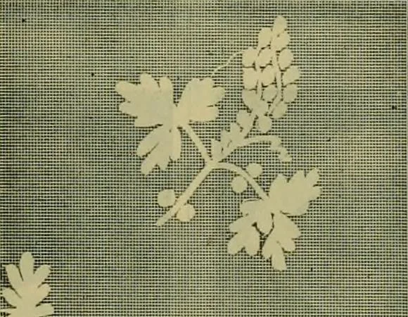 An illustration from Strawbridge & Clothier's quarterly, 1882, leaf 60