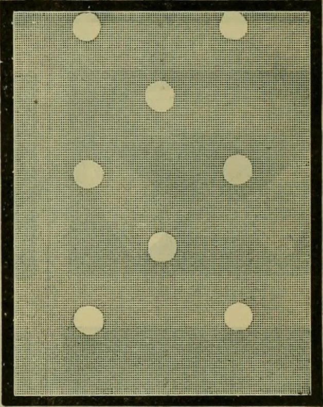 An illustration from Strawbridge & Clothier's quarterly, 1882, leaf 60