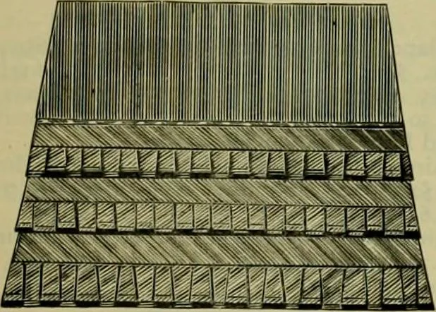 An illustration from Strawbridge & Clothier's quarterly, 1882, leaf 96