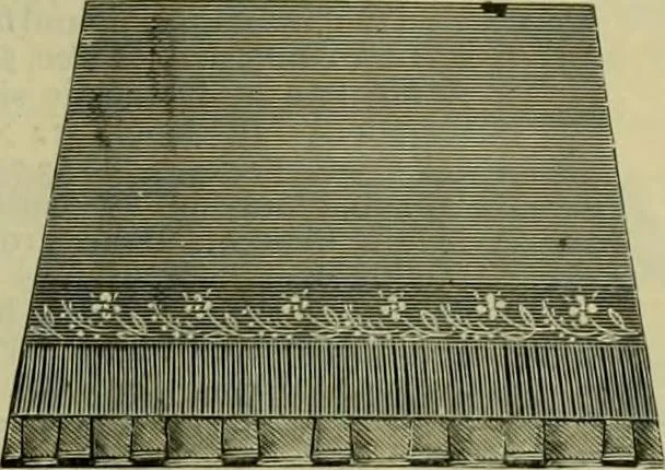 An illustration from Strawbridge & Clothier's quarterly, 1882, leaf 96