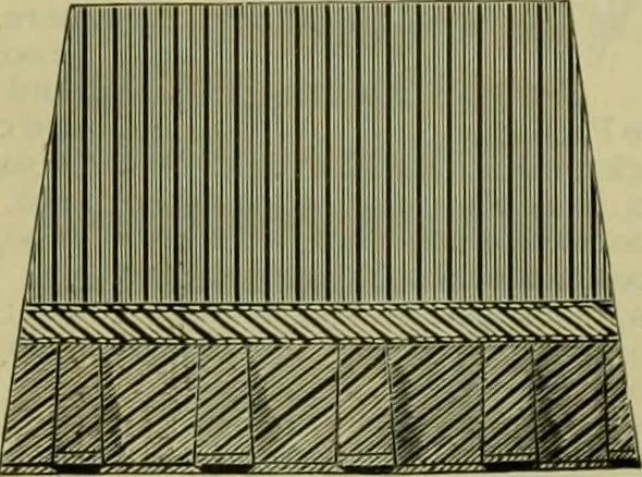 An illustration from Strawbridge & Clothier's quarterly, 1882, leaf 96
