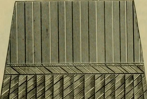 An illustration from Strawbridge & Clothier's quarterly, 1882, leaf 96