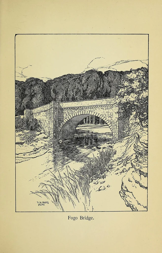 An illustration from Stray leaves from a border garden, 1901, leaf 243