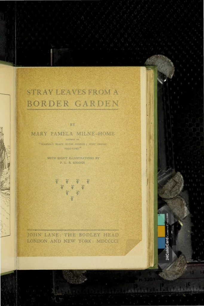 An illustration from Stray leaves from a border garden, 1901, leaf 9