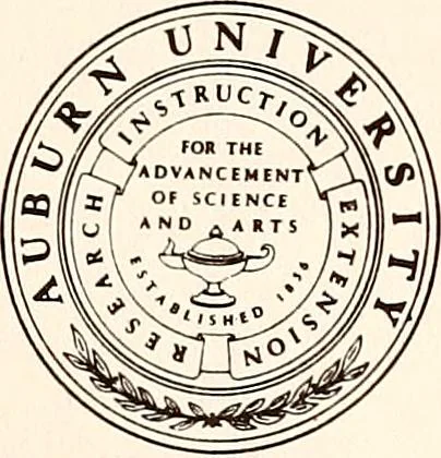 An illustration from Stray leaves from a Freemason's notebook, 1856, leaf 4