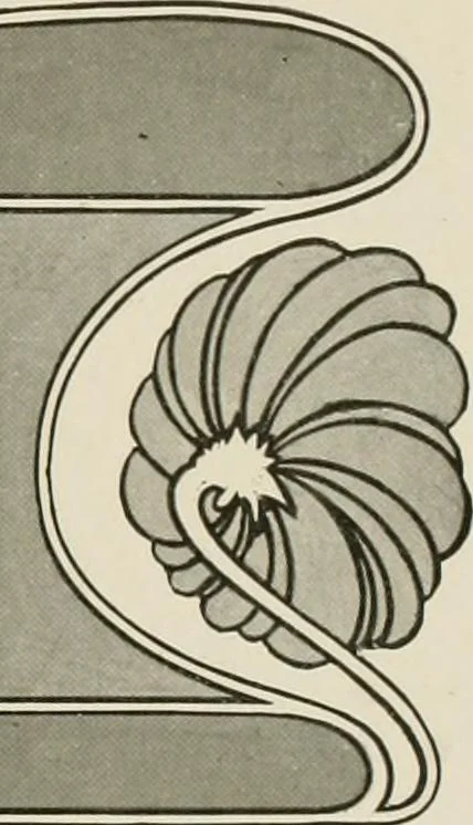 An illustration from Strong's book of designs; a masterpiece of modern ornamental art, 1917, leaf 108