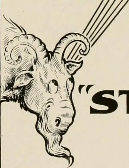 An illustration from Strong's book of designs; a masterpiece of modern ornamental art, 1917, leaf 142