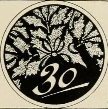 An illustration from Strong's book of designs; a masterpiece of modern ornamental art, 1917, leaf 170