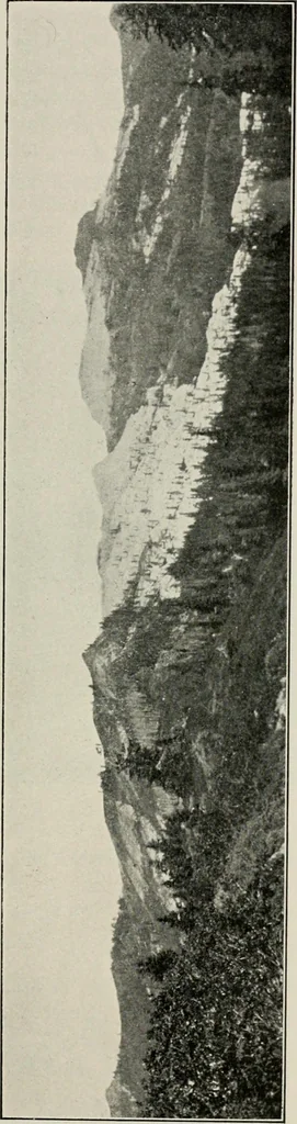 An illustration from The structural and industrial materials of California, 1906, leaf 116