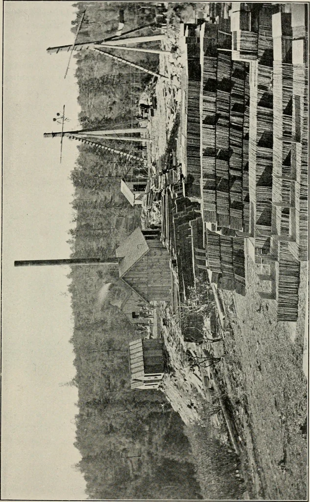 An illustration from The structural and industrial materials of California, 1906, leaf 160