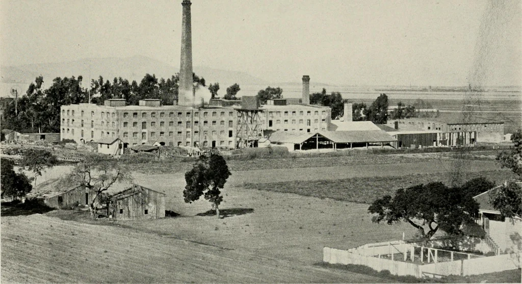 An illustration from The structural and industrial materials of California, 1906, leaf 210