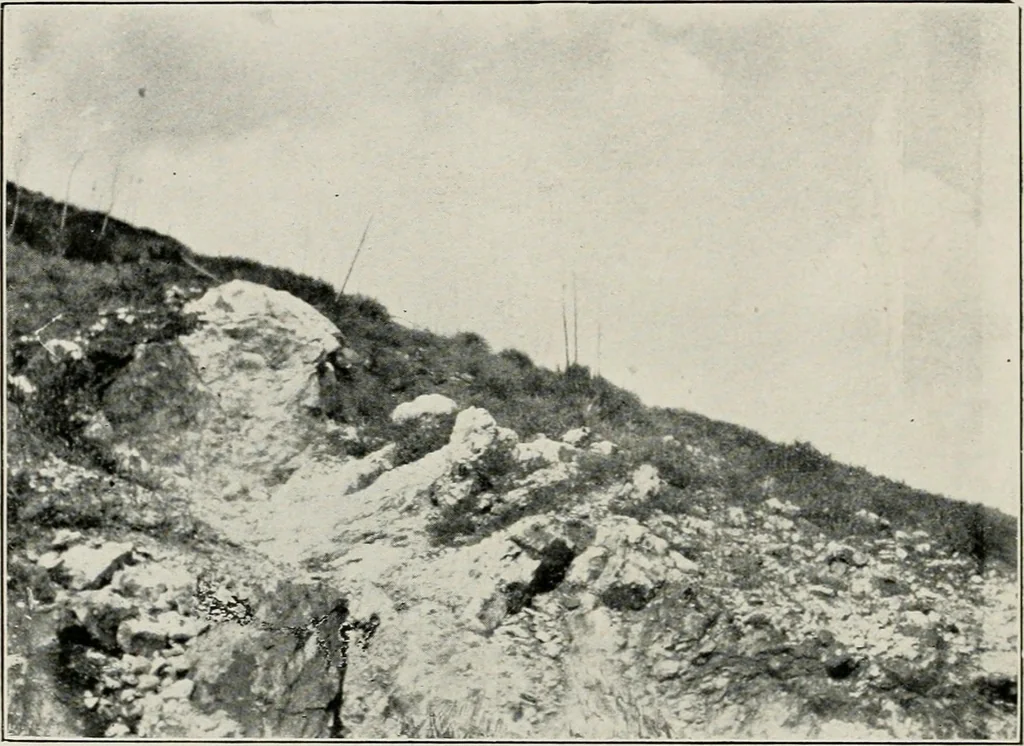 An illustration from The structural and industrial materials of California, 1906, leaf 223