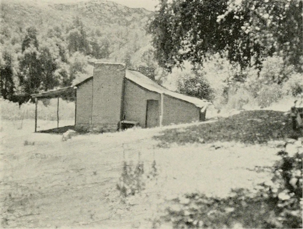 An illustration from The structural and industrial materials of California, 1906, leaf 238