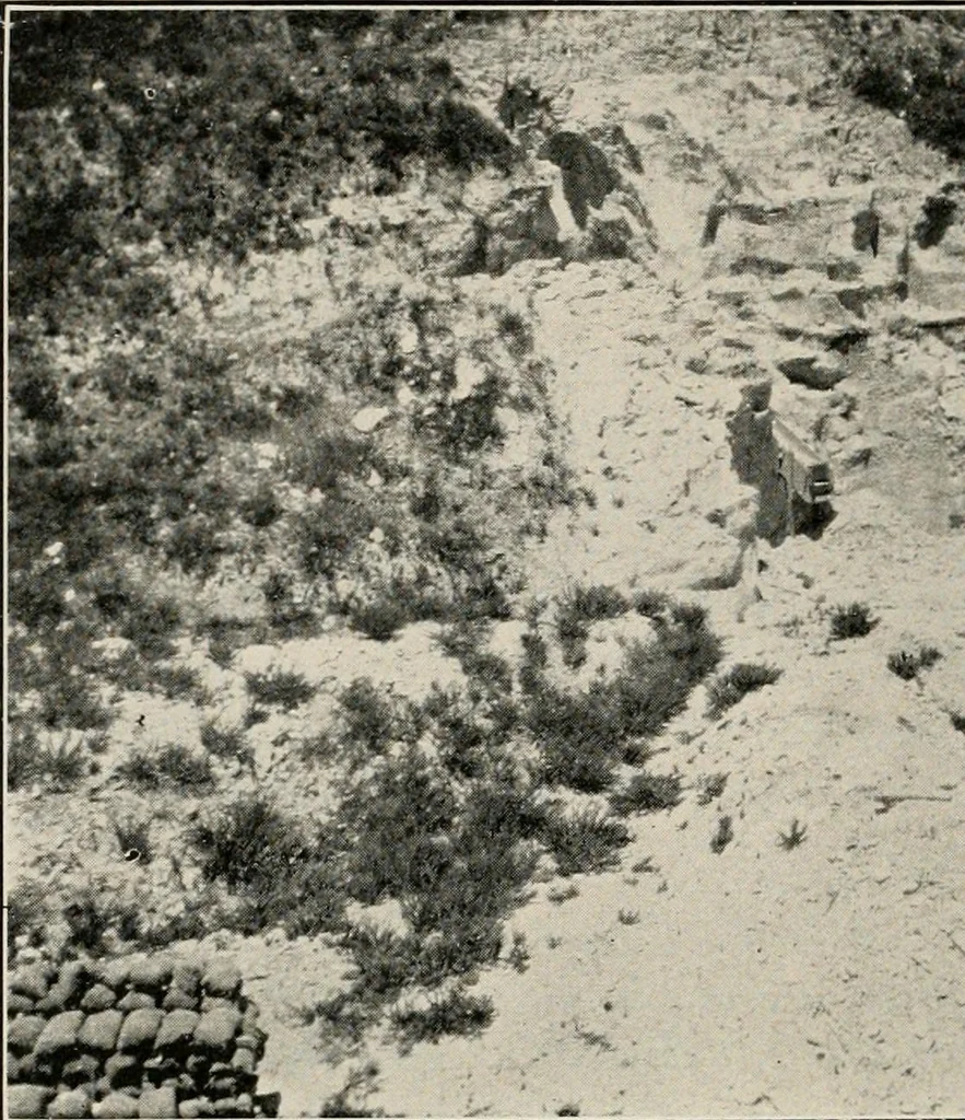 An illustration from The structural and industrial materials of California, 1906, leaf 301