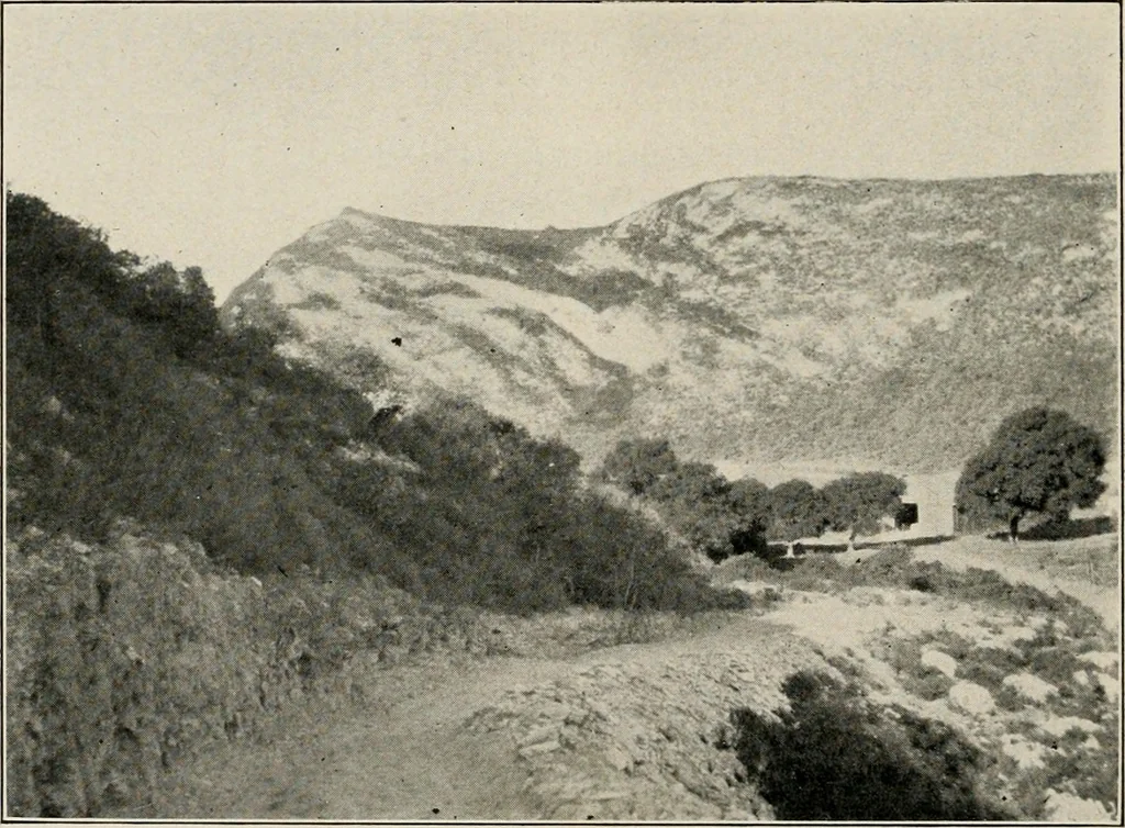 An illustration from The structural and industrial materials of California, 1906, leaf 301