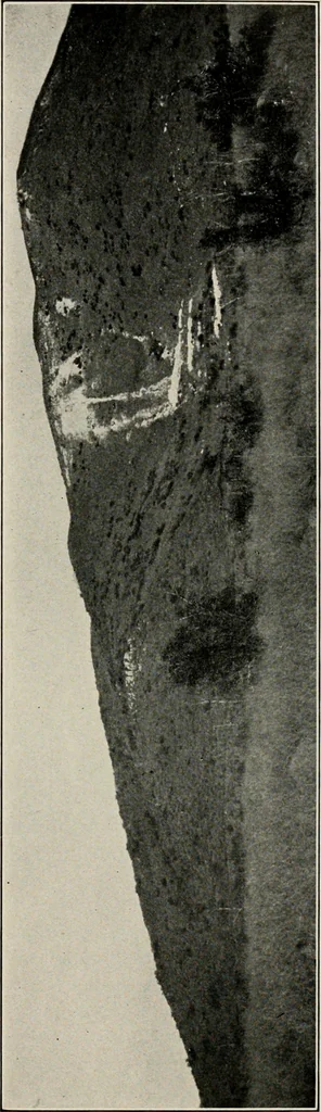 An illustration from The structural and industrial materials of California, 1906, leaf 316