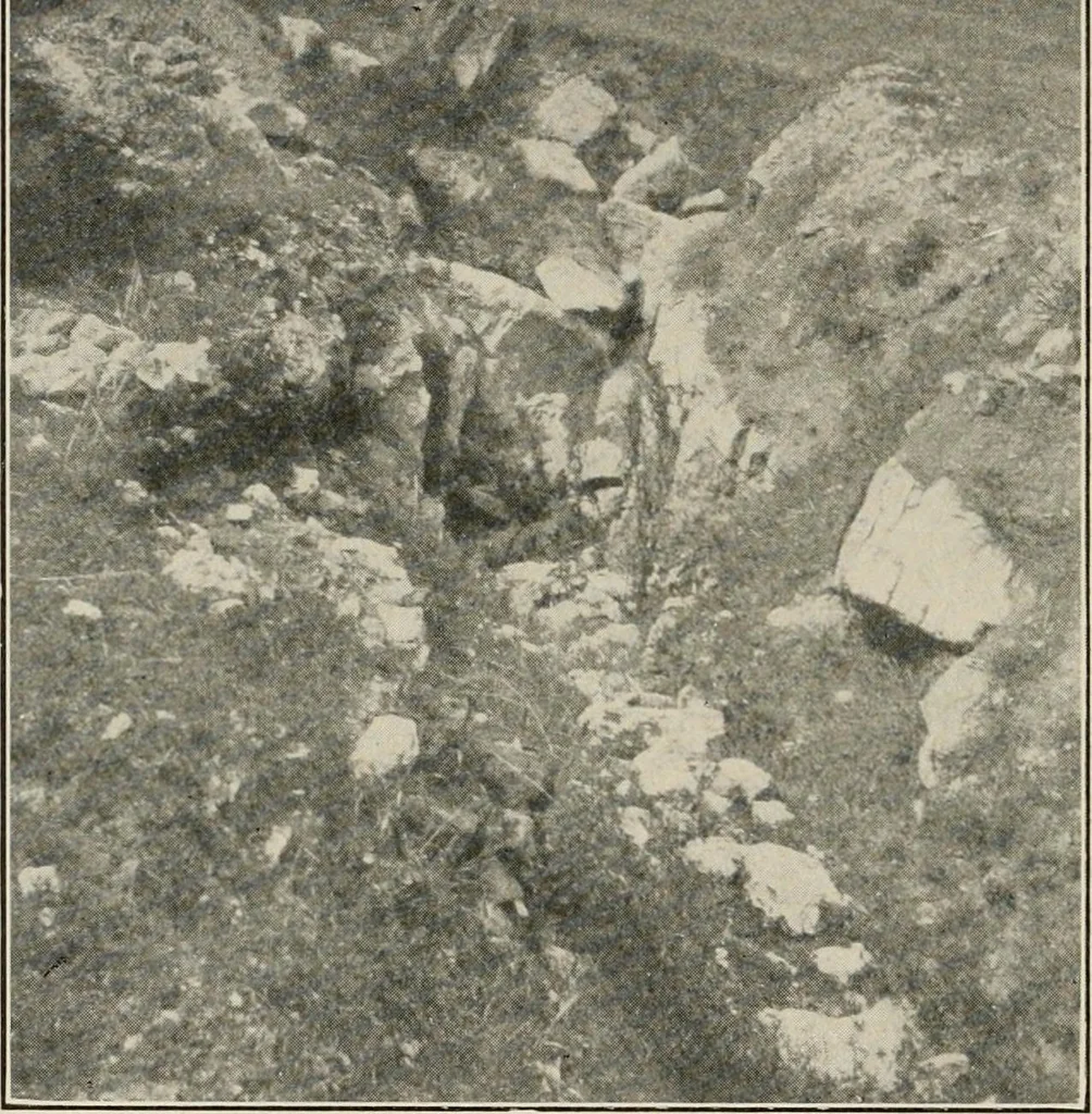 An illustration from The structural and industrial materials of California, 1906, leaf 339