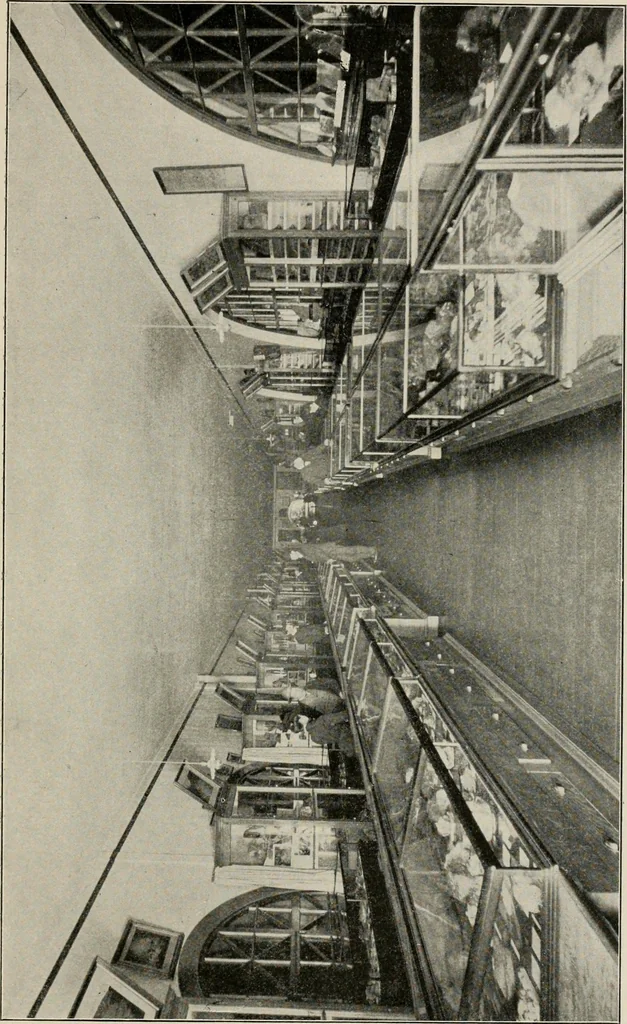 An illustration from The structural and industrial materials of California, 1906, leaf 390