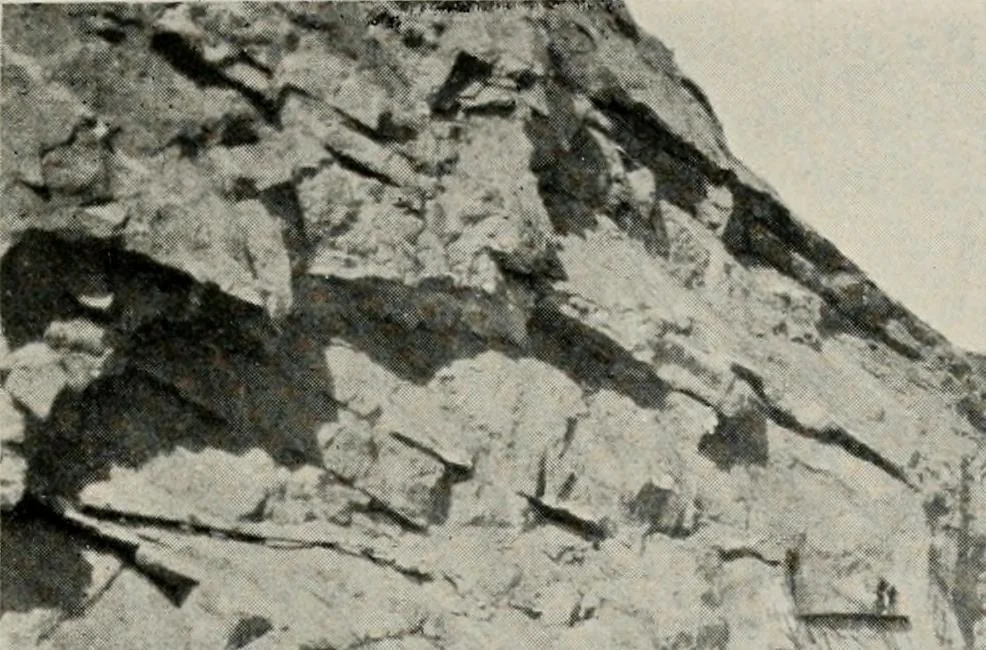 An illustration from The structural and industrial materials of California, 1906, leaf 56