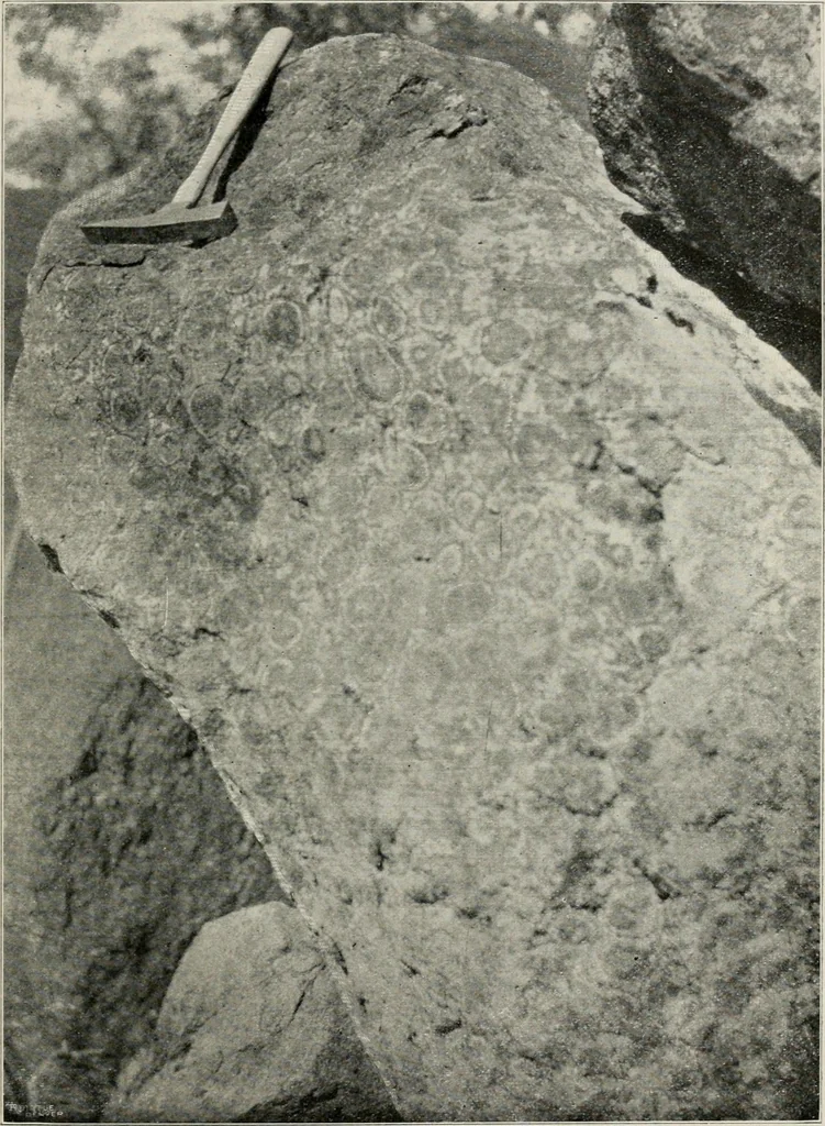 An illustration from The structural and industrial materials of California, 1906, leaf 64