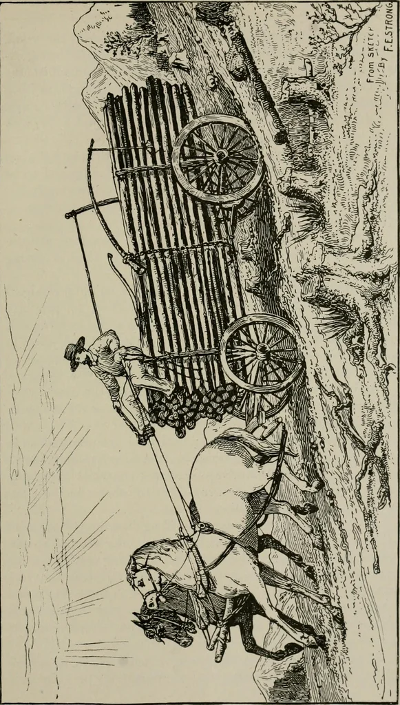An illustration from The struggles for life and home in the North-west [microform], 1890, leaf 124