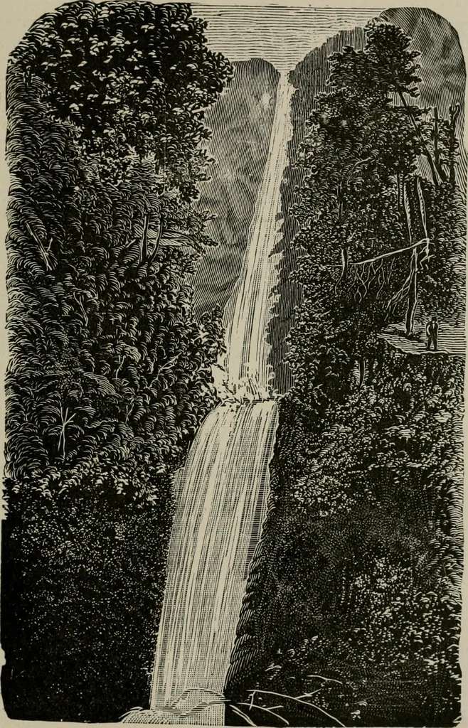 An illustration from The struggles for life and home in the North-west [microform], 1890, leaf 136