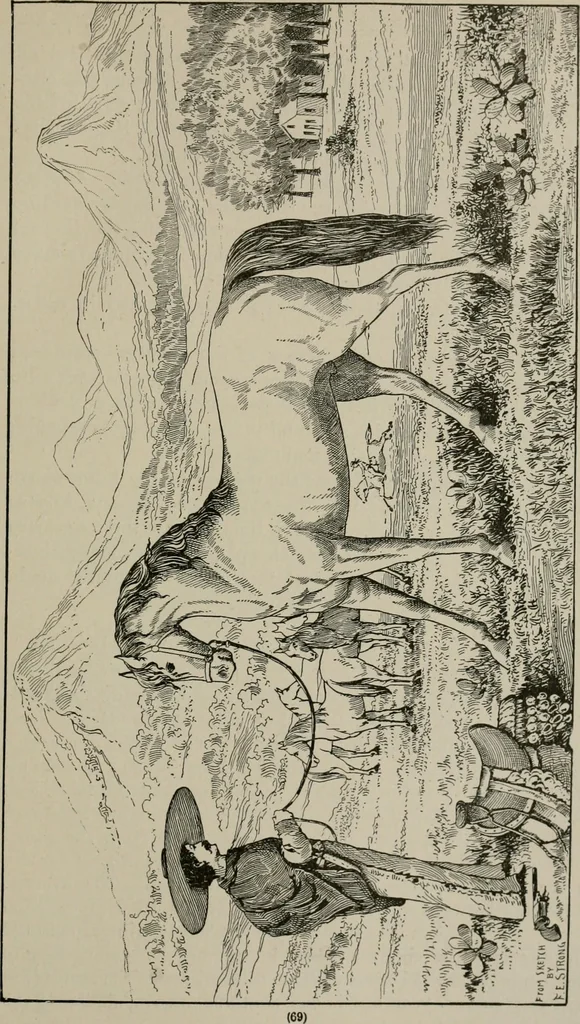 An illustration from The struggles for life and home in the North-west [microform], 1890, leaf 80