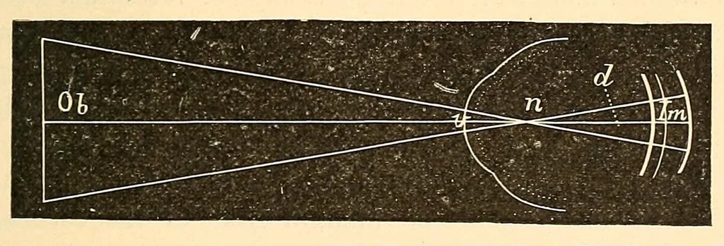 An illustration from The student's guide to diseases of the eye, 1887, leaf 39