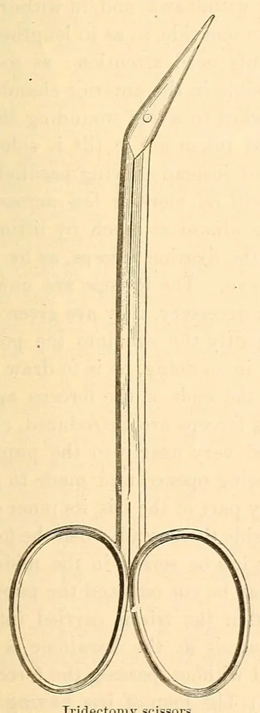 An illustration from The student's guide to diseases of the eye, 1887, leaf 413