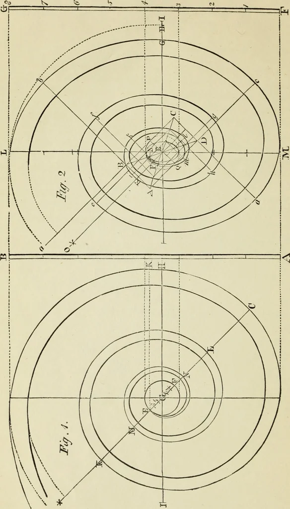 An illustration from The student's instructor in drawing and working : the five orders of architecture : fully explaining the best methods for striking regular and quirked mouldings, for diminishing and glueing of columns and capitals, for finding the true diameter of an order to any given height, for striking the ionic volute, circular or elliptical, with finished examples, on a large scale, of the orders, their planceers, etc. and some designs for door-cases, 1837, leaf 101