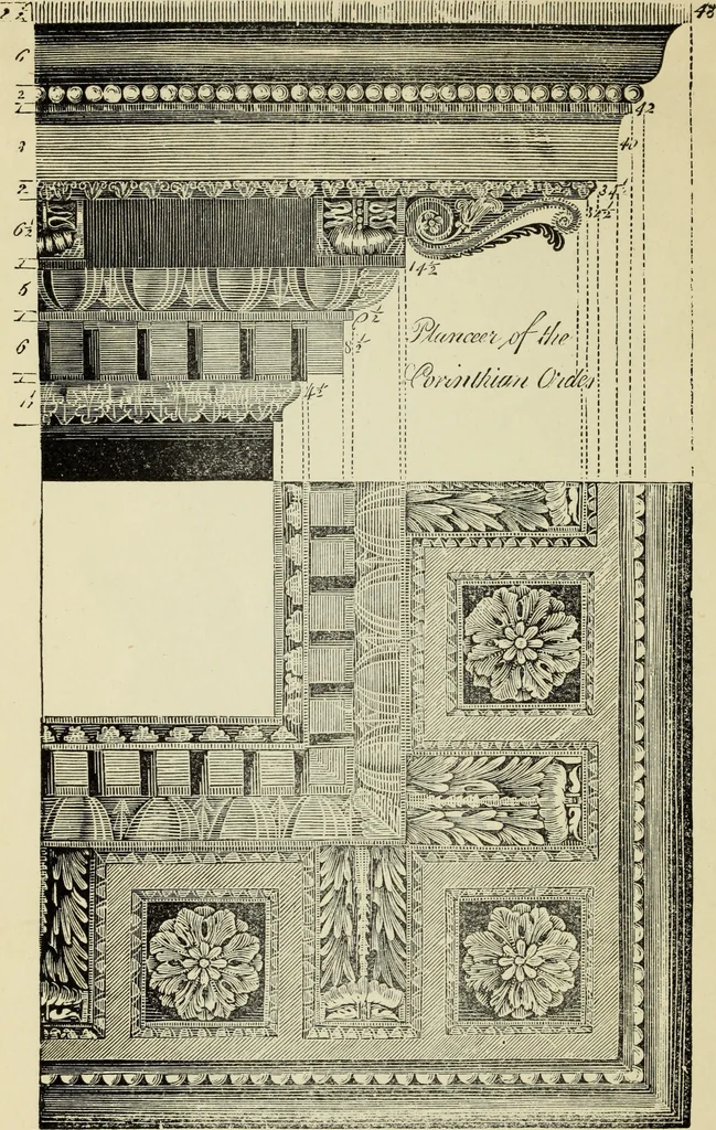 An illustration from The student's instructor in drawing and working : the five orders of architecture : fully explaining the best methods for striking regular and quirked mouldings, for diminishing and glueing of columns and capitals, for finding the true diameter of an order to any given height, for striking the ionic volute, circular or elliptical, with finished examples, on a large scale, of the orders, their planceers, etc. and some designs for door-cases, 1837, leaf 113