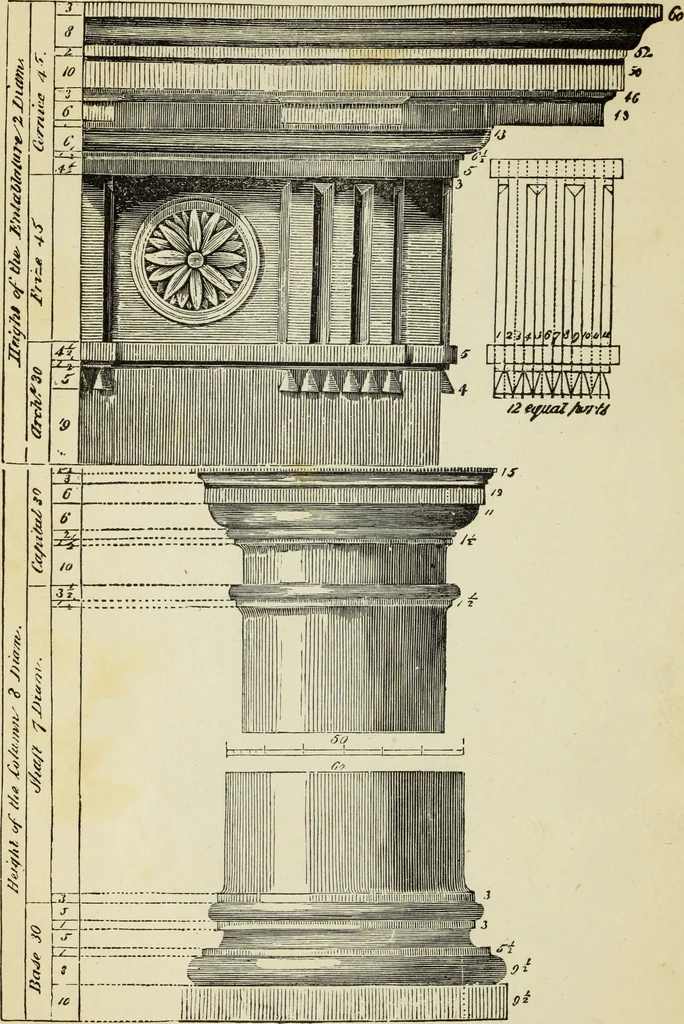 An illustration from The student's instructor in drawing and working : the five orders of architecture : fully explaining the best methods for striking regular and quirked mouldings, for diminishing and glueing of columns and capitals, for finding the true diameter of an order to any given height, for striking the ionic volute, circular or elliptical, with finished examples, on a large scale, of the orders, their planceers, etc. and some designs for door-cases, 1837, leaf 53