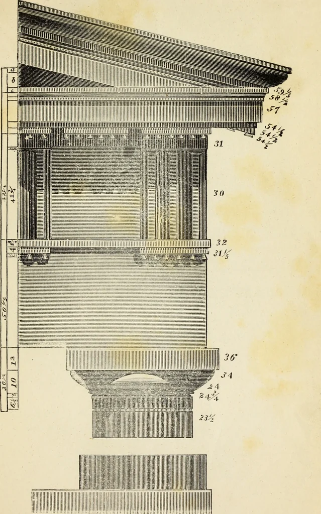 An illustration from The student's instructor in drawing and working : the five orders of architecture : fully explaining the best methods for striking regular and quirked mouldings, for diminishing and glueing of columns and capitals, for finding the true diameter of an order to any given height, for striking the ionic volute, circular or elliptical, with finished examples, on a large scale, of the orders, their planceers, etc. and some designs for door-cases, 1837, leaf 56