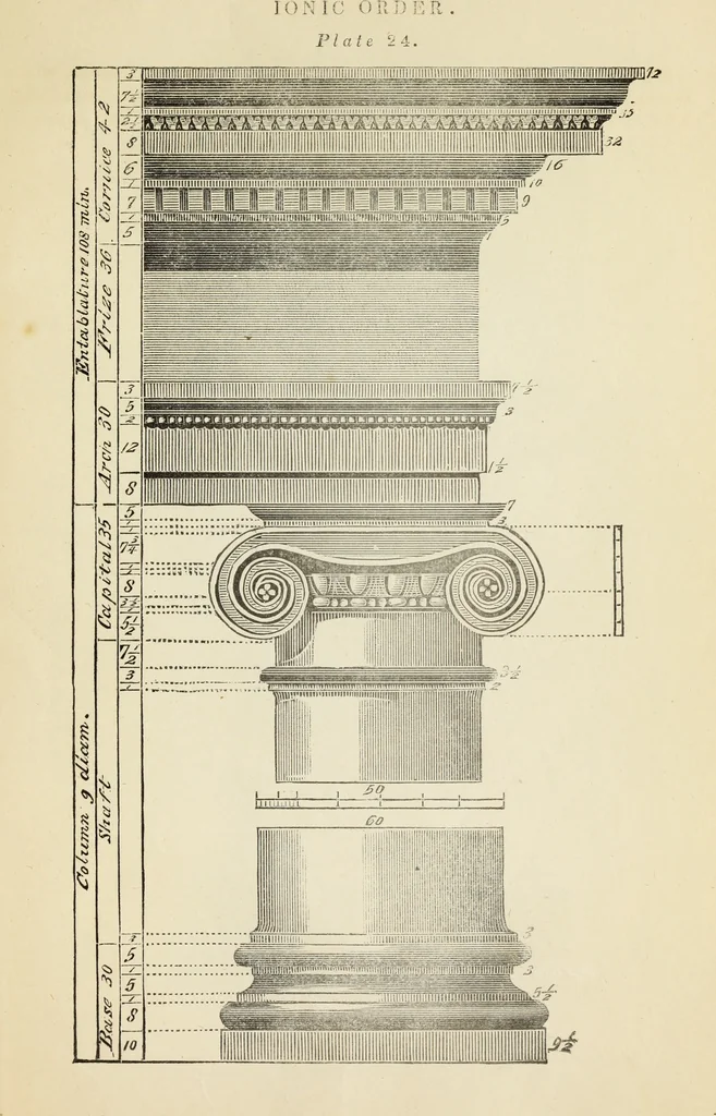 An illustration from The student's instructor in drawing and working : the five orders of architecture : fully explaining the best methods for striking regular and quirked mouldings, for diminishing and glueing of columns and capitals, for finding the true diameter of an order to any given height, for striking the ionic volute, circular or elliptical, with finished examples, on a large scale, of the orders, their planceers, etc. and some designs for door-cases, 1837, leaf 86