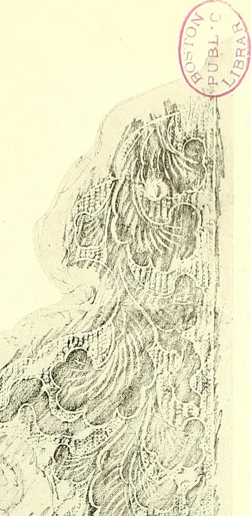 An illustration from Studies in the decorative art of Japan, 1910, leaf 100