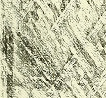 An illustration from Studies in the decorative art of Japan, 1910, leaf 102