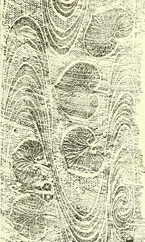 An illustration from Studies in the decorative art of Japan, 1910, leaf 104