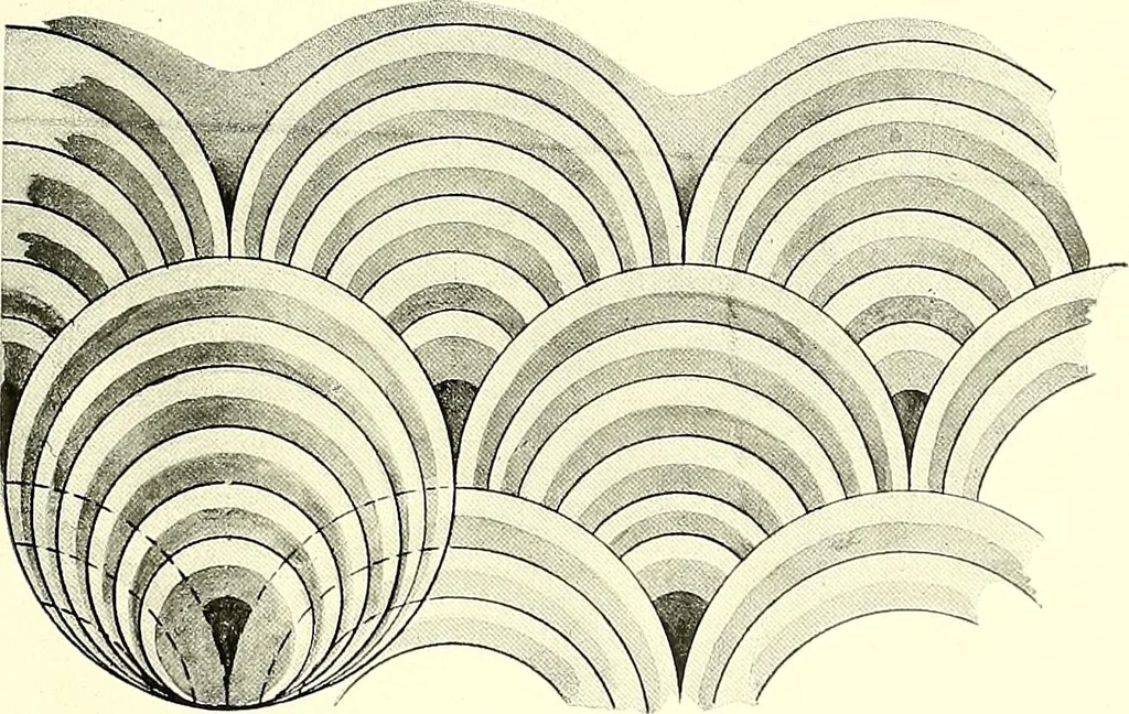 An illustration from Studies in the decorative art of Japan, 1910, leaf 40