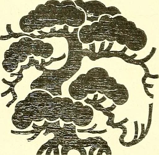 An illustration from Studies in the decorative art of Japan, 1910, leaf 69