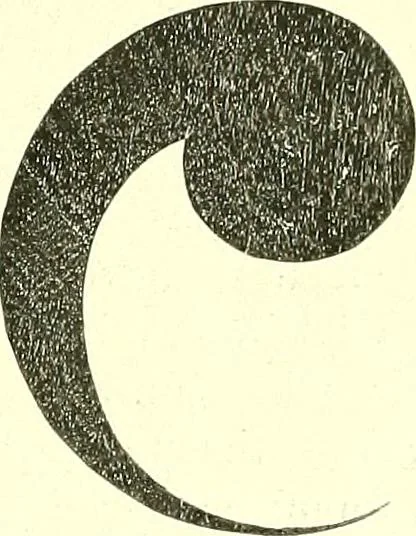 An illustration from Studies in the decorative art of Japan, 1910, leaf 78