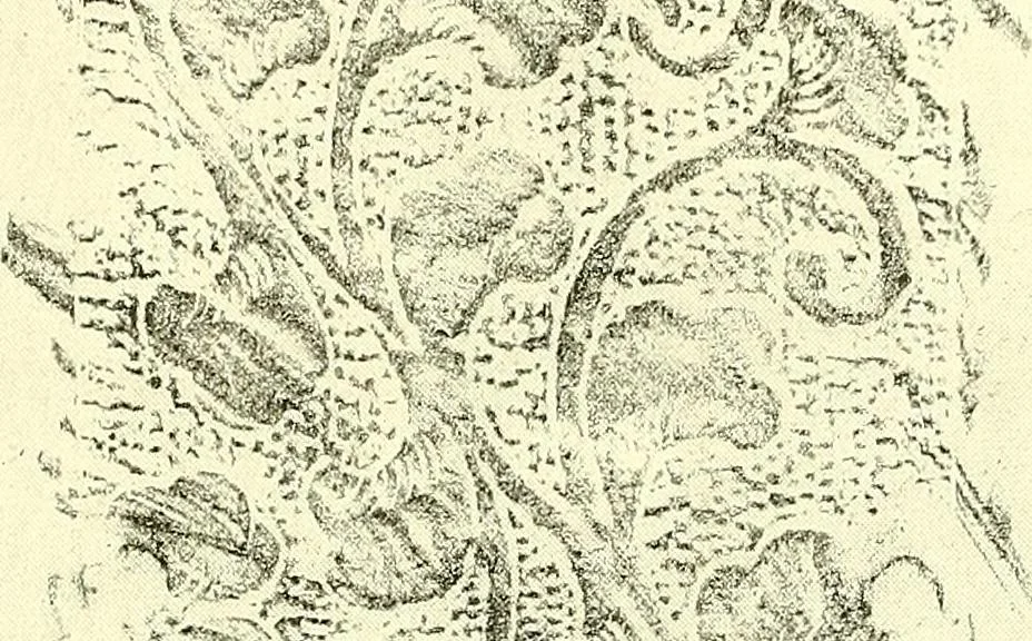 An illustration from Studies in the decorative art of Japan, 1910, leaf 86