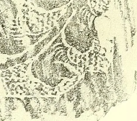 An illustration from Studies in the decorative art of Japan, 1910, leaf 86