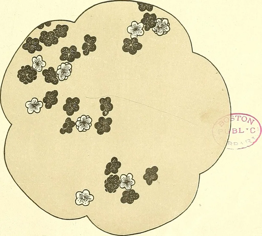 An illustration from Studies in the decorative art of Japan, 1910, leaf 92