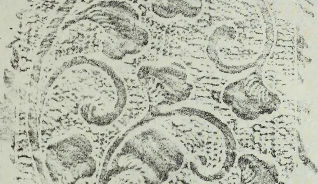 An illustration from Studies in the decorative art of Japan, 1910, leaf 100