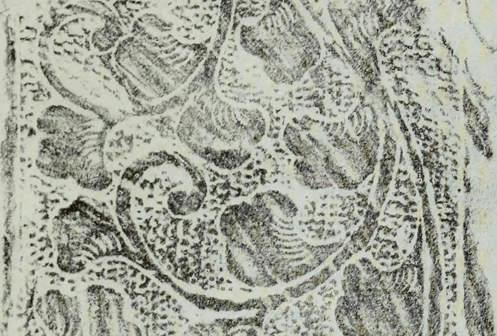 An illustration from Studies in the decorative art of Japan, 1910, leaf 100