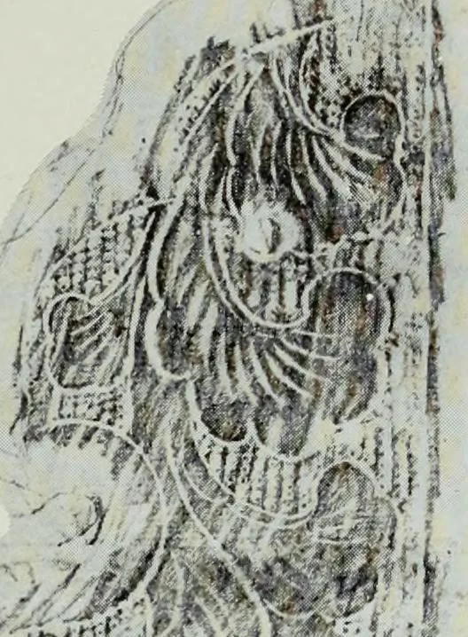 An illustration from Studies in the decorative art of Japan, 1910, leaf 106