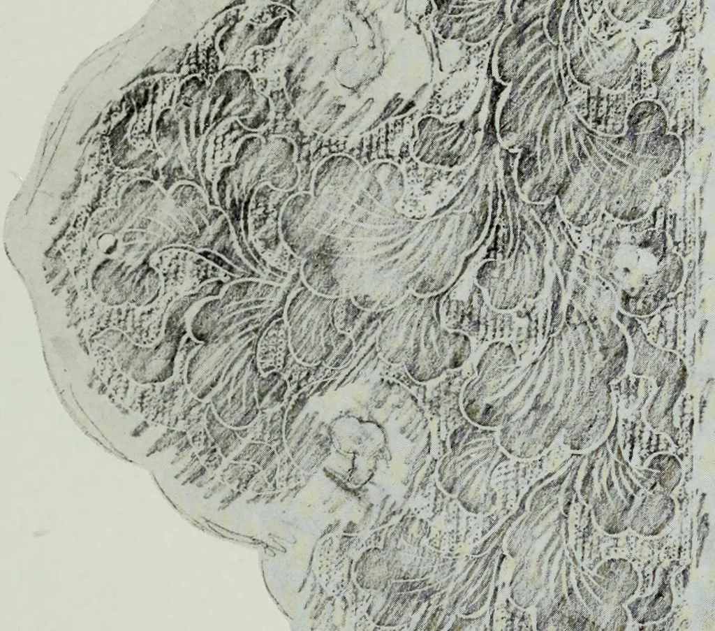 An illustration from Studies in the decorative art of Japan, 1910, leaf 106