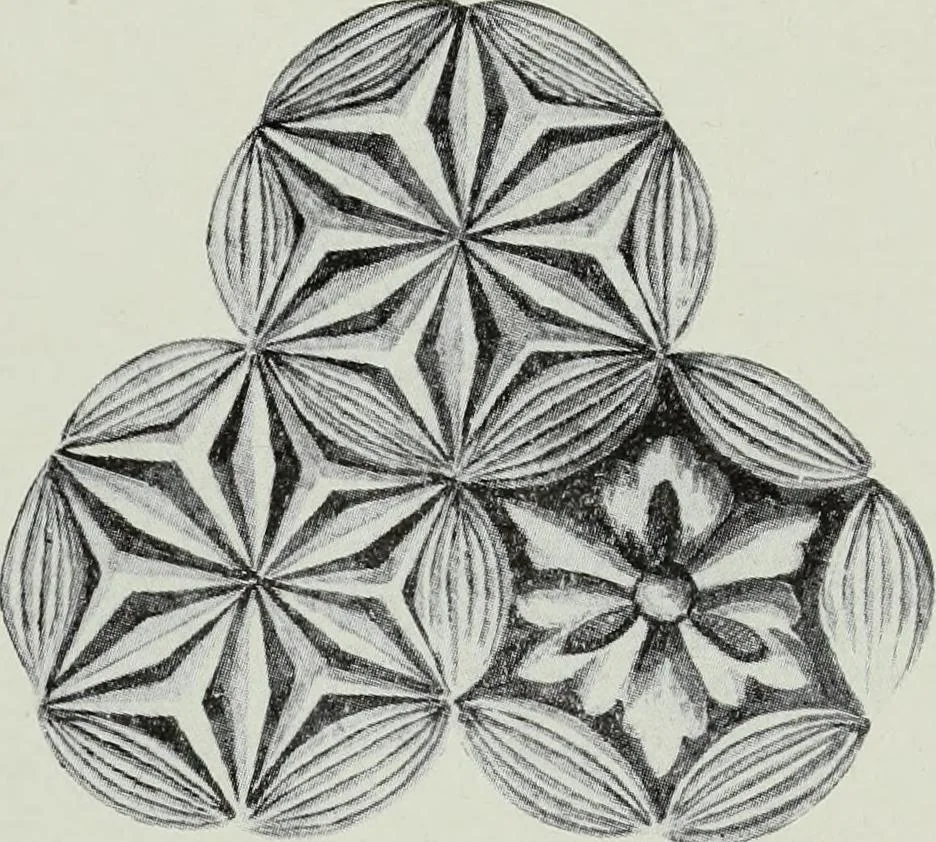 An illustration from Studies in the decorative art of Japan, 1910, leaf 34
