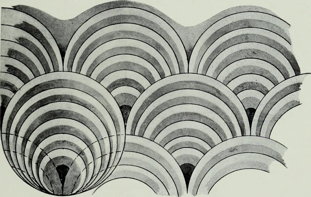 An illustration from Studies in the decorative art of Japan, 1910, leaf 42