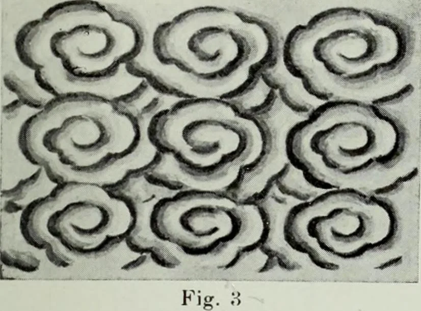 An illustration from Studies in the decorative art of Japan, 1910, leaf 44